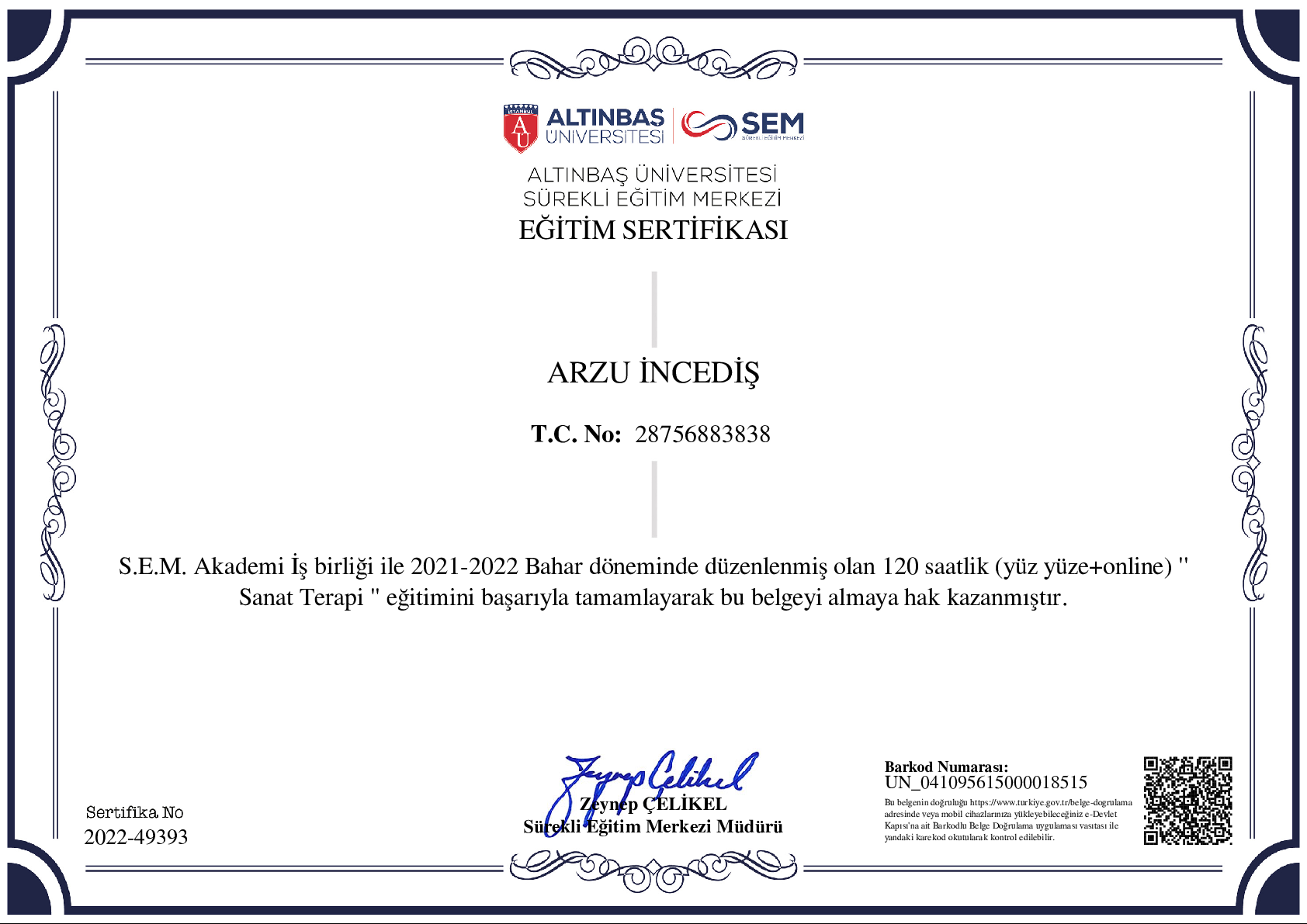 Sanat Terapi Sertifikası - Altınbaş Üniversitesi SEM